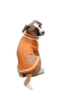 dog sweater india DOG SWEATER for All Dogs in Different Sizes ORANGE COLOR 499.00 aruna kullu handloom