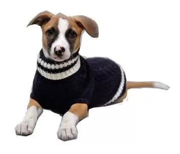 dog sweater