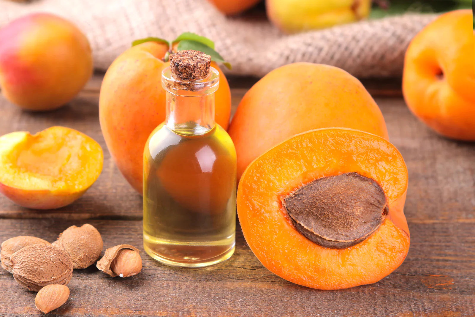 himachal products Himachal Food Products himachal herbs himachal organic products 