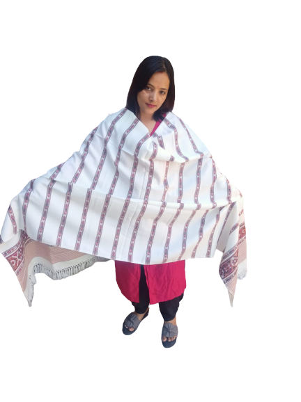 Kullu Shawl for Women bhuttico kullu shawls bhuttico shawls online kullu shawl price Bhuttico shawl price in india A woman in a vibrant outfit poses in front of a white background, wearing the aruna kullu handloom Hand Woven PASHMINA WHITE Shawl with beautiful embroidery, elegantly draped over her shoulders as she looks at the camera.