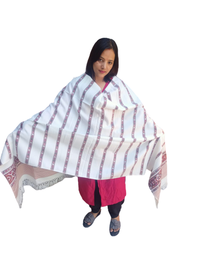 Kullu Shawl for Women bhuttico kullu shawls bhuttico shawls online kullu shawl price Bhuttico shawl price in india A woman in a vibrant outfit poses in front of a white background, wearing the aruna kullu handloom Hand Woven PASHMINA WHITE Shawl with beautiful embroidery, elegantly draped over her shoulders as she looks at the camera.