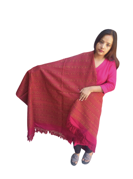 A woman in pink sits against a white background, draping the Hand Woven PASHMINA MAROON Shawl by aruna kullu handloom, featuring beautiful embroidered designs, over her shoulder.