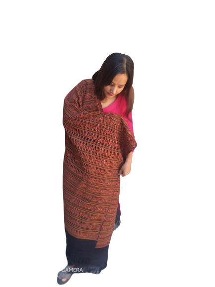 A woman with long hair, in a red top and dark skirt, stands against a white background wearing an aruna kullu handloom Hand Woven PASHMINA black Shawl with beautiful embroidery for women.