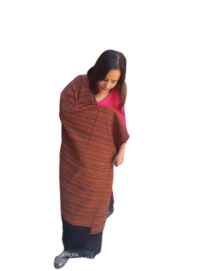 A woman with long hair, in a red top and dark skirt, stands against a white background wearing an aruna kullu handloom Hand Woven PASHMINA black Shawl with beautiful embroidery for women.