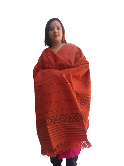 A woman faces the camera, draped in the aruna kullu handloom Hand Woven PASHMINA RUST COLOR Shawl with beautiful handmade embroidery and fringed edges. The background is plain white.