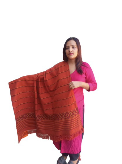 Hand Woven PASHMINA RUST COLOR Shawl Beautiful Hand Woven Embroidered FOR WOMEN 1399.00 aruna kullu handloom