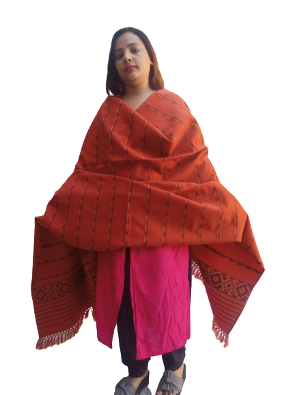 A woman stands against a plain background wearing a bright pink kurta, black pants, and an aruna kullu handloom Hand Woven PASHMINA RUST COLOR Shawl with beautiful embroidery draped over her shoulders.