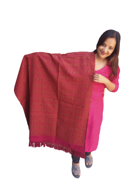 A woman in a pink outfit displays the aruna kullu handloom Hand Woven PASHMINA MAROON Shawl with beautiful embroidery and fringe, standing against a plain white background.
