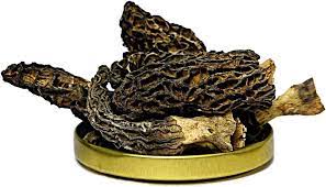 A pile of dried Gucchi mushrooms from aruna kullu handloom with wrinkled, honeycomb-like surfaces sits on a golden tray against a white background, showcasing these prized fungi renowned for their premium price and Himachal origin.