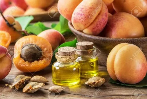 GUTTI KA TEL ( Apricot oil ) 1800.00 aruna kullu handloom