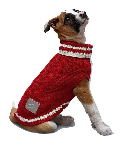 Are Dog Sweaters Good for Dogs? Exploring the Benefits, Risks, and When They're Truly Necessary 7 Are Dog Sweaters Good for Dogs? Exploring the Benefits, Risks, and When They