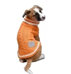 dog sweaters online dog sweater india dog coat for winter dog cloths for winter buy dog sweater dog sweater dog sweater india buy dog sweater dog cloths for winter dog coat for winter xxl dog sweater online india also in amazon 