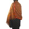 kashmiri shawl for women original kashmiri shawl price kashmiri shawl for ladies kullu shawl motifs kullu shawls ppt kinnauri shawl