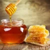 wild forest honey forest honey himalayan forest honey himalayan honey price pure honey